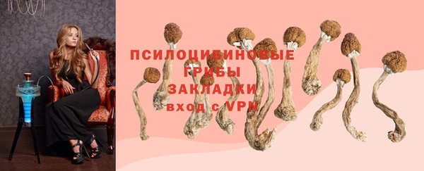 a pvp Алексеевка