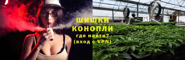 spice Алексин
